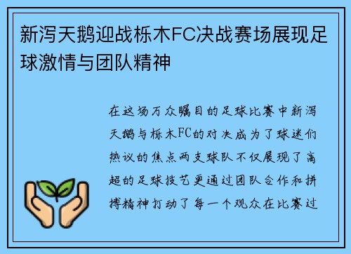 新泻天鹅迎战栎木FC决战赛场展现足球激情与团队精神