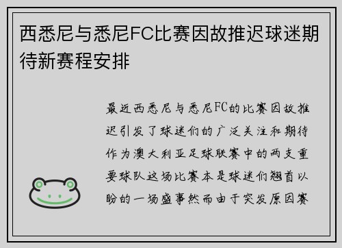 西悉尼与悉尼FC比赛因故推迟球迷期待新赛程安排